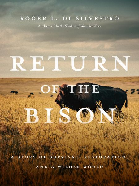 Produktbild: Return of the Bison
