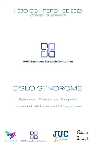 Produktbild: H63D Syndrome