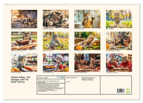 Produktbild: Katzen-Alltag - Ein witziges Jahr mit Kater Tommy (Wandkalender 2026 DIN A2 quer), CALVENDO Monatskalender