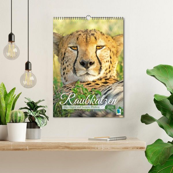 Produktbild: Raubkatzen: Die J&auml;ger auf leisen Pfoten (Wandkalender 2026 DIN A3 hoch), CALVENDO Monatskalender