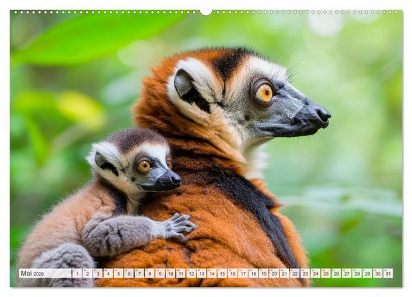 Produktbild: M&uuml;tterherzen im wilden Tierreich (hochwertiger Premium Wandkalender 2026 DIN A2 quer), Kunstdruck in Hochglanz