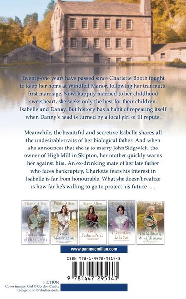 Produktbild: The Windfell Family Secrets
