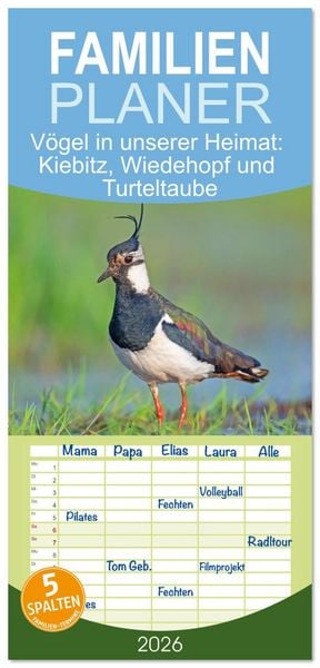 Produktbild: Familienplaner 2026 - V&ouml;gel in unserer Heimat: Kiebitz, Wiedehopf und Turteltaube mit 5 Spalten (Wandkalender, 21 x 45 cm) CALVENDO