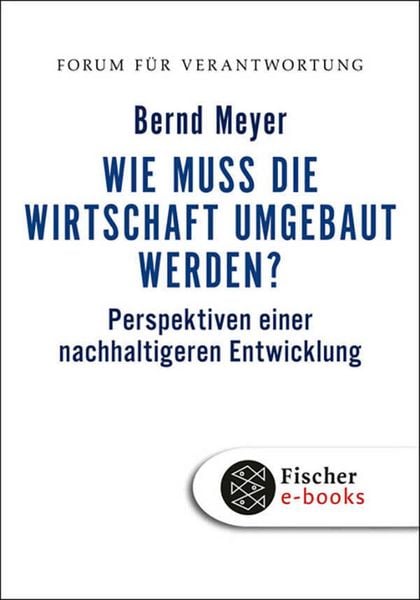 Produktbild: Wie muss die Wirtschaft umgebaut werden?