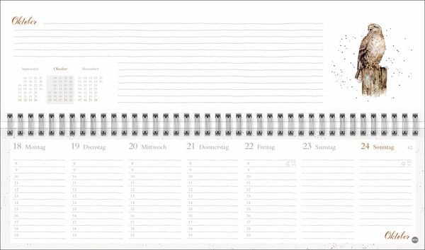 Produktbild: Hannah Dale : Wochenquerplaner 2027