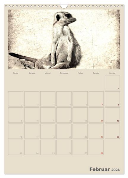 Produktbild: Lustige Erdm&auml;nnchen (Wandkalender 2026 DIN A3 hoch), CALVENDO Monatskalender
