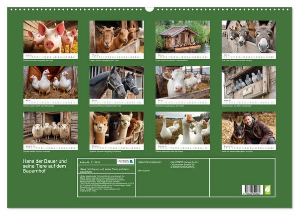 Produktbild: Hans der Bauer und seine Tiere auf dem Bauernhof (Wandkalender 2026 DIN A2 quer), CALVENDO Monatskalender