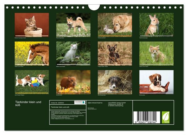 Produktbild: Tierkinder klein und s&uuml;&szlig; (Wandkalender 2026 DIN A4 quer), CALVENDO Monatskalender