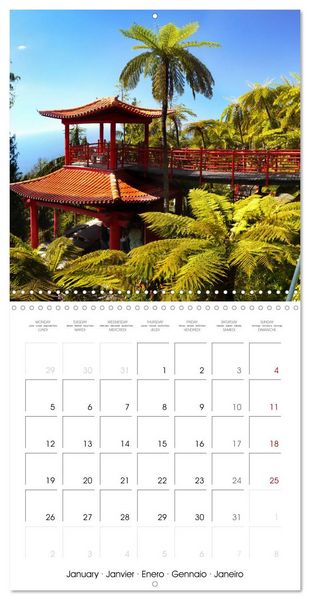 Produktbild: Madeira, Beauty of Nature (Wall Calendar 2026 12 &times; 12 Inch) CALVENDO 12 Month Wall Calendar