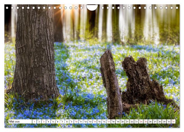 Produktbild: Die Uckermark - Eine Reise durch die Toskana des Nordens (Wandkalender 2026 DIN A4 quer), CALVENDO Monatskalender
