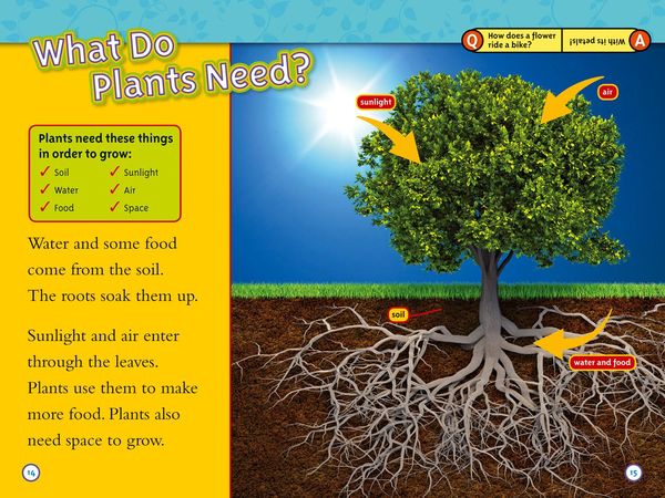 Produktbild: Seed to Plant