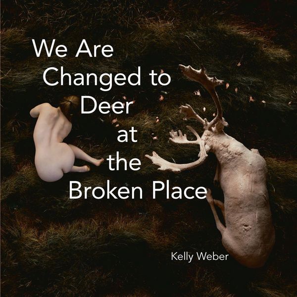 Produktbild: We Are Changed to Deer at the Broken Place