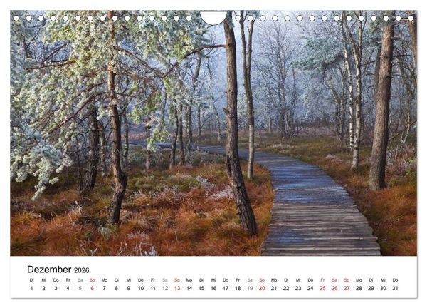 Produktbild: Auf neuen Wegen (Wandkalender 2026 DIN A4 quer), CALVENDO Monatskalender
