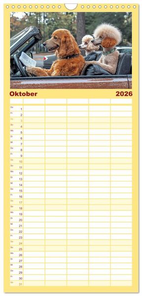Produktbild: Familienplaner 2026 - S&uuml;&szlig;e Hunde cruisen - durch das Jahr mit dem Hundekalender mit 5 Spalten (Wandkalender, 21 x 45 cm) CALVENDO