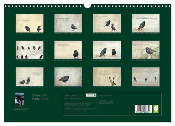 Produktbild: Stare und Weisheiten (Wandkalender 2027 DIN A3 quer), CALVENDO Monatskalender