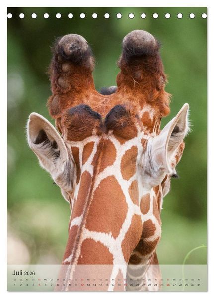 Produktbild: Emotionale Momente: Giraffen, die h&ouml;chsten Tiere der Welt. (Tischkalender 2026 DIN A5 hoch), CALVENDO Monatskalender
