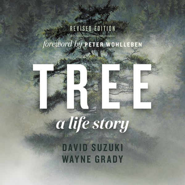 Produktbild: Tree