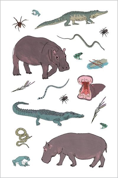 Produktbild: Wildlife Anatomy Sticker Book