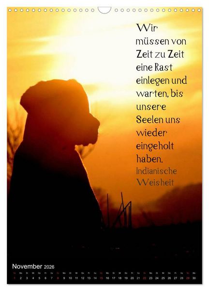 Produktbild: Der Broholmer (Wandkalender 2026 DIN A3 hoch), CALVENDO Monatskalender