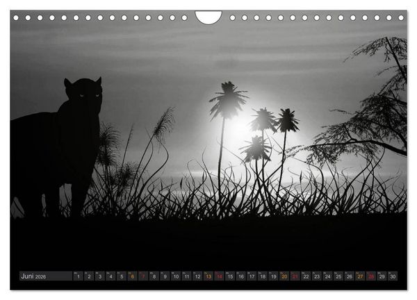 Produktbild: Sonne und Mond - faszinierend und anziehend (Wandkalender 2026 DIN A4 quer), CALVENDO Monatskalender