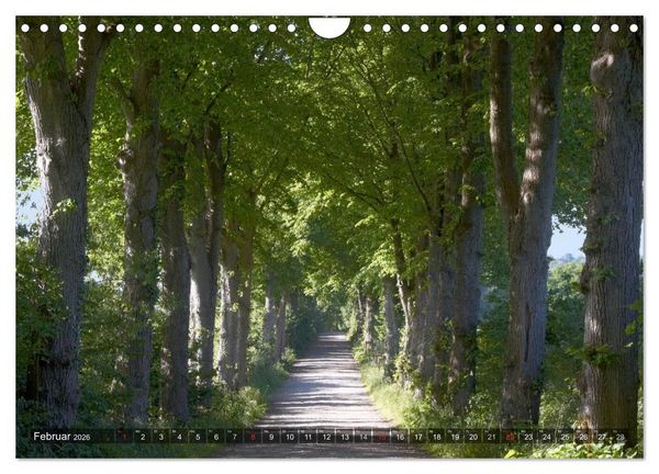 Produktbild: Naturpark Holsteinische Schweiz (Wandkalender 2026 DIN A4 quer), CALVENDO Monatskalender