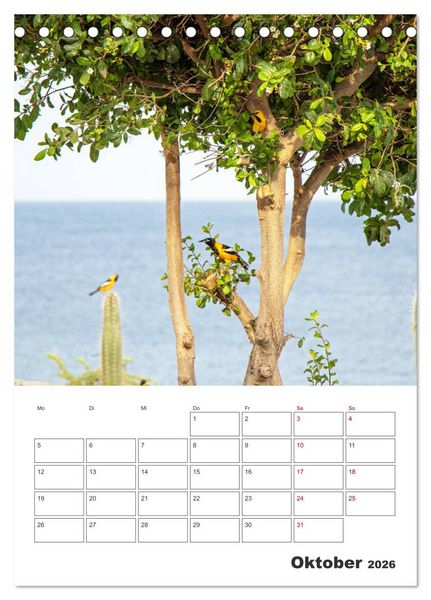 Produktbild: Curacao - Terminplaner (Tischkalender 2026 DIN A5 hoch), CALVENDO Monatskalender