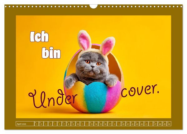 Produktbild: Katzenhumor - Ein Jahr voller Flauschalarm (Wandkalender 2026 DIN A3 quer), CALVENDO Monatskalender