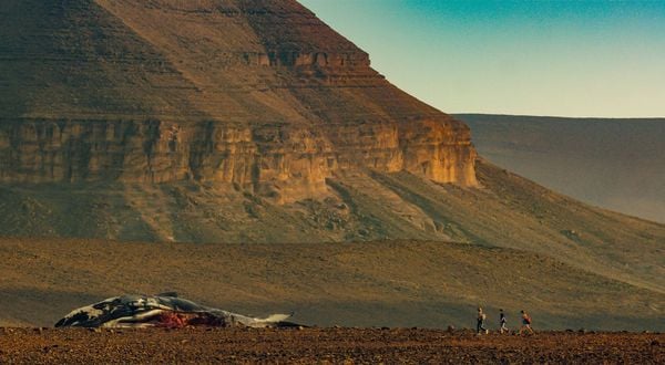 Produktbild: Survive - Gestrandet im Ozean