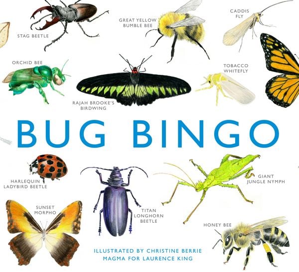 Produktbild: Bug Bingo