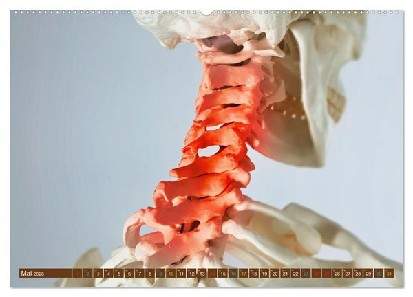 Produktbild: Chiropraktik - mit den H&auml;nden behandeln (Wandkalender 2026 DIN A2 quer), CALVENDO Monatskalender