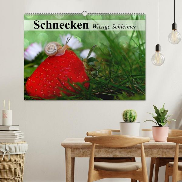 Produktbild: Schnecken. Witzige Schleimer (Wandkalender 2026 DIN A2 quer), CALVENDO Monatskalender