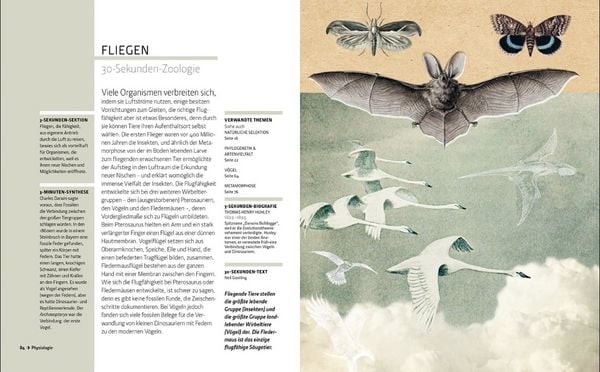 Produktbild: Zoologie in 30 Sekunden