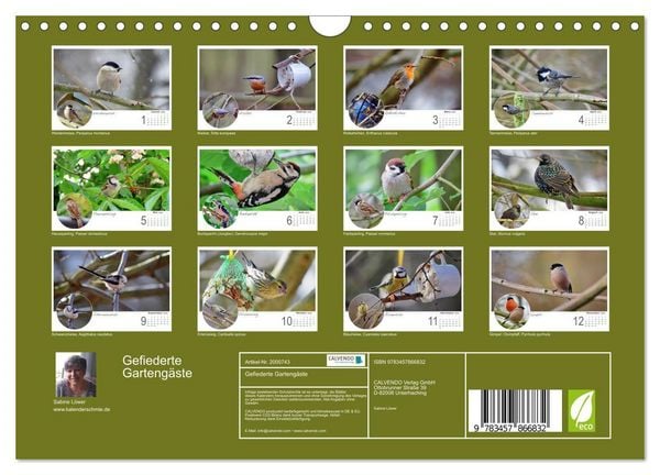 Produktbild: Gefiederte Garteng&auml;ste (Wandkalender 2026 DIN A4 quer), CALVENDO Monatskalender
