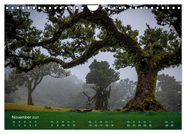 Produktbild: Madeira - Insel der Kontraste (Wandkalender 2027 DIN A4 quer), CALVENDO Monatskalender