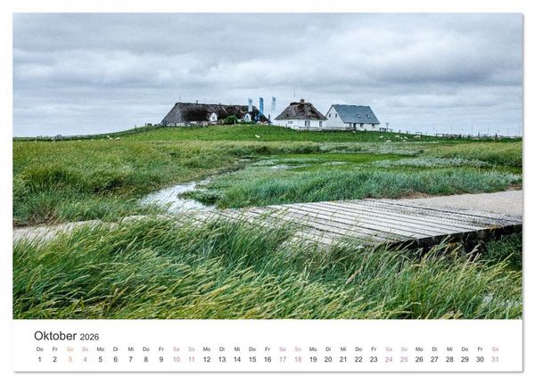 Produktbild: Hamburger Hallig - Der Weg ist das Ziel (Tischkalender 2026 DIN A5 quer), CALVENDO Monatskalender