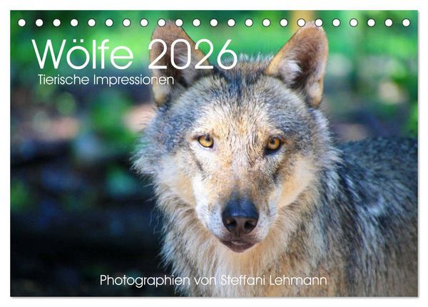 Produktbild: W&ouml;lfe 2026. Tierische Impressionen (Tischkalender 2026 DIN A5 quer), CALVENDO Monatskalender