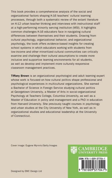 Produktbild: Cultural Learning in Urban Schools and Minority Serving Institutions