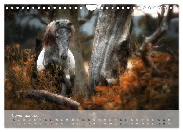 Produktbild: Pferde - Anmut und St&auml;rke gepaart mit Magie (Wandkalender 2026 DIN A4 quer), CALVENDO Monatskalender