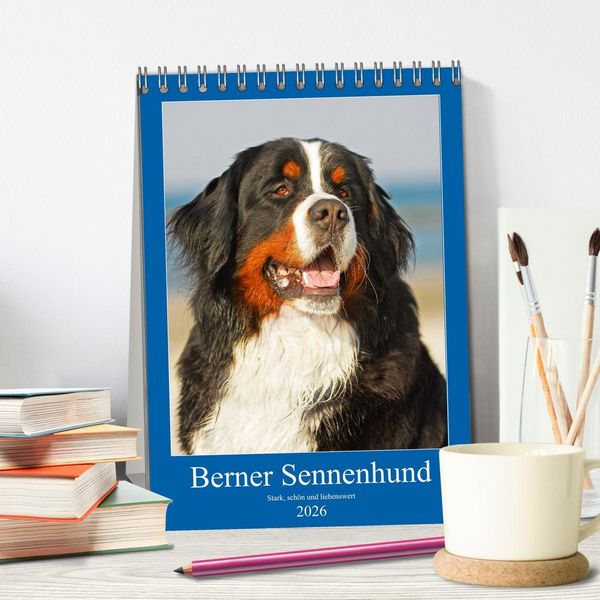 Produktbild: Berner Sennenhund - stark , sch&ouml;n und liebenswert (Tischkalender 2026 DIN A5 hoch), CALVENDO Monatskalender