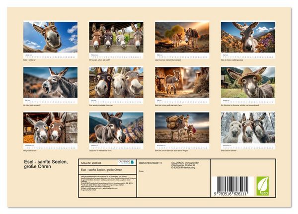 Produktbild: Esel - sanfte Seelen, gro&szlig;e Ohren (Wandkalender 2026 DIN A4 quer), CALVENDO Monatskalender