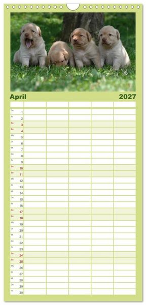 Produktbild: Familienplaner 2027 - Labrador Welpen mit 5 Spalten (Wandkalender, 21 x 45 cm) CALVENDO