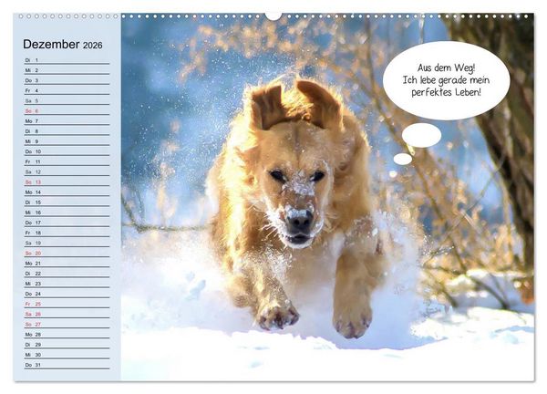 Produktbild: Hurra! Wir gehen Gassi! Abenteuer mit dem Hund! (Wandkalender 2026 DIN A2 quer), CALVENDO Monatskalender