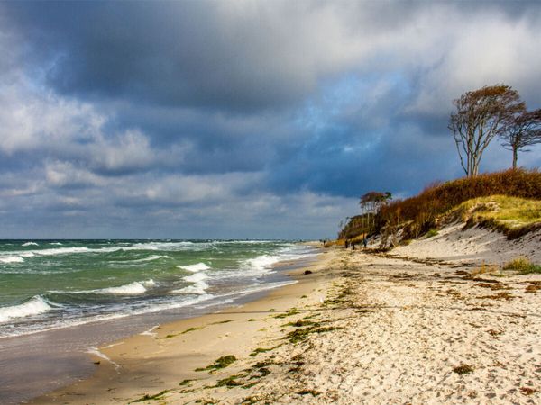 Produktbild: CALVENDO Puzzle Wilder Dar&szlig;er Weststrand | 1000 Teile Lege-Gr&ouml;&szlig;e 64x48cm Foto-Puzzle f&uuml;r gl&uuml;ckliche Stunden