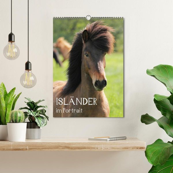 Produktbild: Isl&auml;nder im Portrait (Wandkalender 2026 DIN A3 hoch), CALVENDO Monatskalender