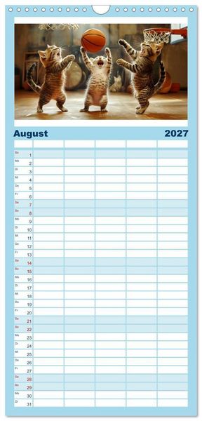 Produktbild: Familienplaner 2027 - Lustige Sportarten f&uuml;r Katzen mit 5 Spalten (Wandkalender, 21 x 45 cm) CALVENDO