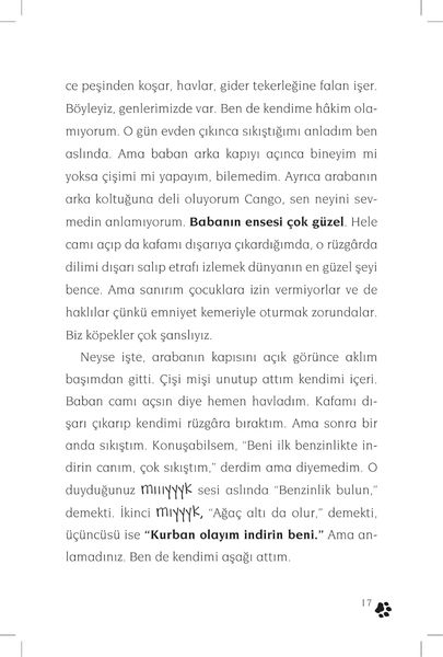 Produktbild: Cingo