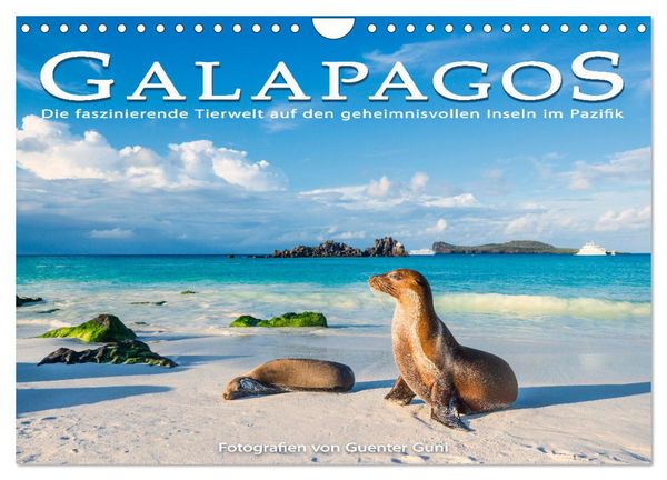 Die faszinierende Tierwelt der Galapagos-Inseln (Wandkalender 2026 DIN A4 quer), CALVENDO Monatskalender
