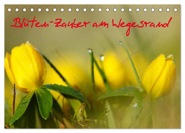 Blüten-Zauber am Wegesrand 2026 (Tischkalender 2026 DIN A5 quer), CALVENDO Monatskalender