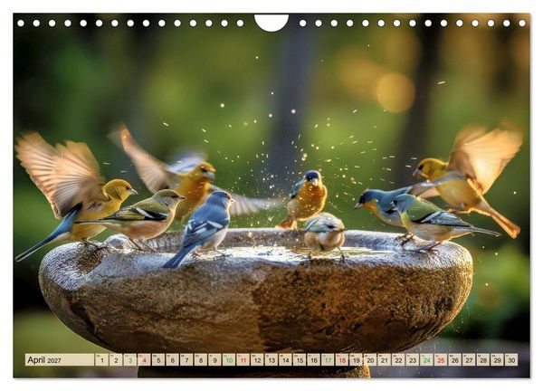 Produktbild: Farbenfrohe Singv&ouml;gel beim Baden (Wandkalender 2027 DIN A4 quer), CALVENDO Monatskalender