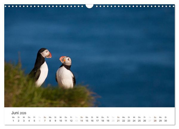 Produktbild: ISLAND 63&deg; - 66&deg; N / 13&deg; - 25&deg; W (Wandkalender 2026 DIN A3 quer), CALVENDO Monatskalender